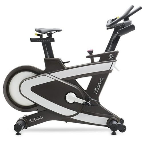 Stacjonarny rower treningowy Intenza Fitness 550GC