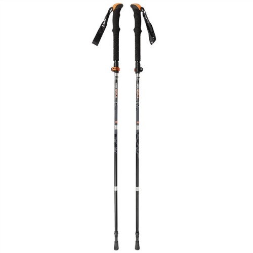 Folding Nordic Poles Yate Eagle