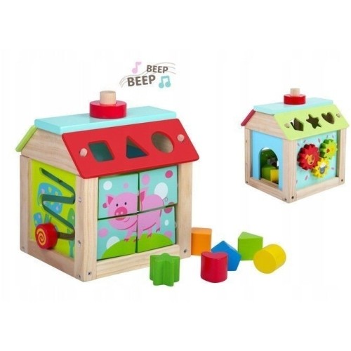 Wooden Educational Cube Sorter + Blocks Ecotoys