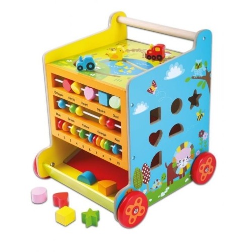 Pusher Ecotoys Educational