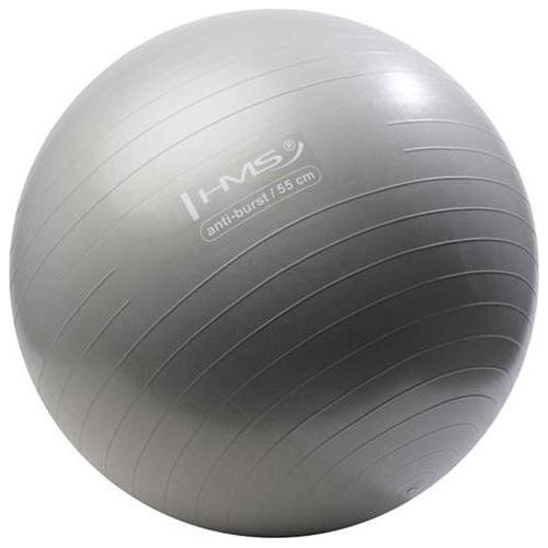 YB02 NEW 55CM GRAPHITTE GYM BALL HMS