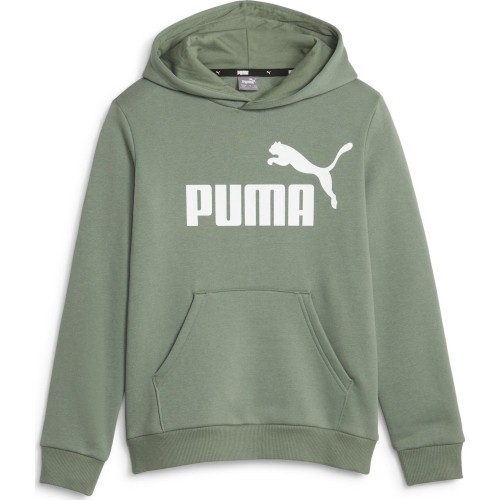 Puma Džemperis Paaugliams Ess Big Logo Hoodie Green 586965 45