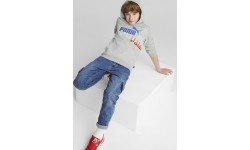 Puma Džemperis Paaugliams Ess+ Logo Power Hoodie Grey 673262 04
