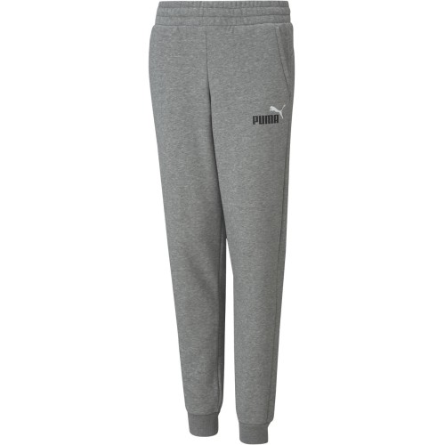 Puma Sportinės Kelnės Paaugliams Ess+ 2 Col Logo Pants Fl Grey 586988 03