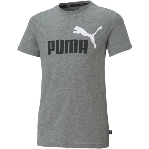 Puma Marškinėliai Paaugliams Ess+ 2 Col Logo Tee Grey 586985 03