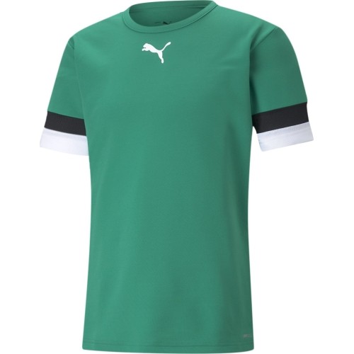 Puma Marškinėliai Vyrams TeamRise Jersey Green 704932 05