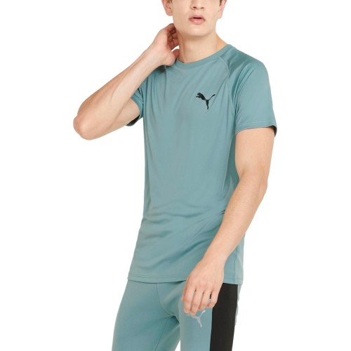 Puma Marškinėliai Vyrams Rtg Tee Mineral Green 585827 50