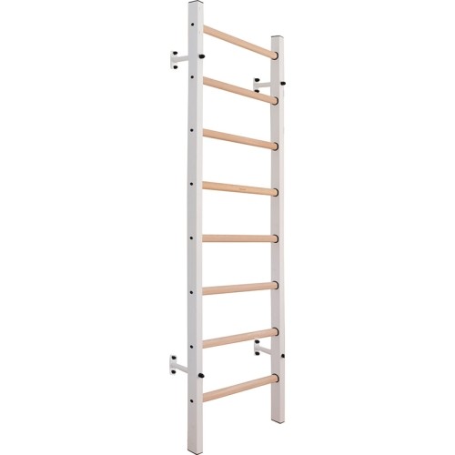 BenchK 200W Gymnastics Ladder.