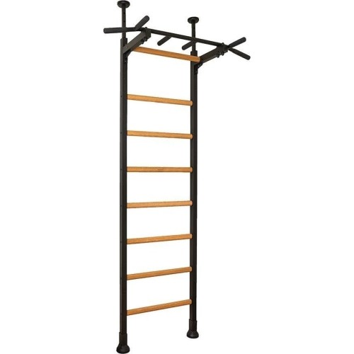 BenchK 521B gymnastics ladder