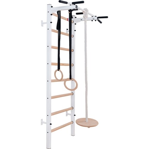 BenchK 221W + A204 gymnastics ladder