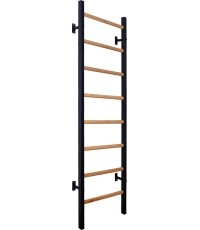 BenchK 200B gymnastics ladder