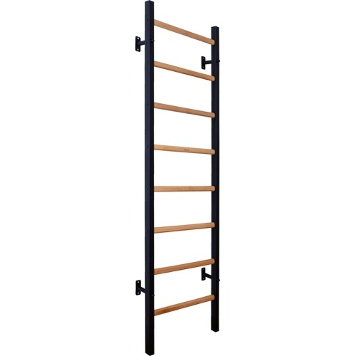 BenchK 200B gymnastics ladder