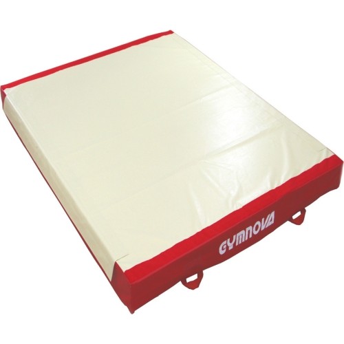 CUSTOM LANDING MAT FOR PARALLEL BARS - WITH BASE CUT-OUTS FOR 2 PARALLEL BAR FRAME - 260 x 200 x 20 cm