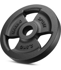 Cast iron weight 2.5 kg MW-O2.5-kier - Marbo Sport