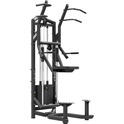 Assisted Pull-ups UpForm UF-009