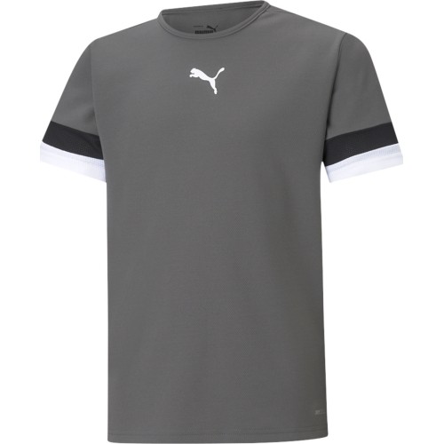 Puma Marškinėliai Paaugliams TeamRise Jersey Grey 704938 13