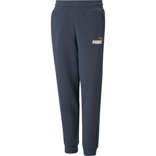 Puma Kelnės Paaugliams Ess + 2 Col Logo Pants Blue 586988 16