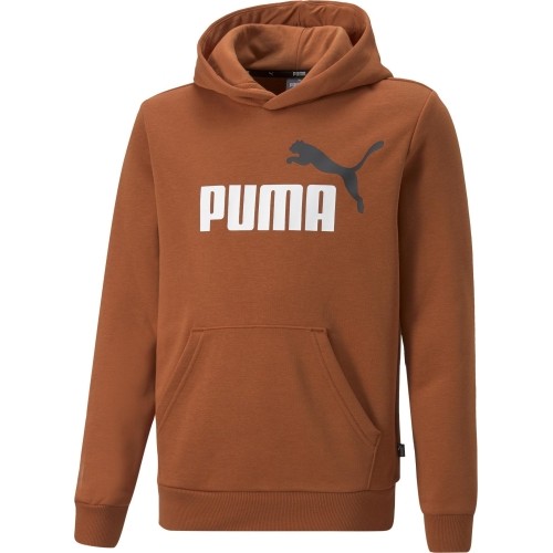 Puma Džemperis Paaugliams Ess+ 2 Col Big Logo Orange 586987 81