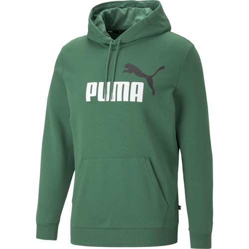 Puma Džemperis Vyrams Ess+ 2 Col Big Logo Green 586765 37