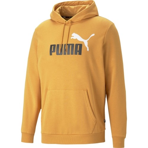 Puma Džemperis Vyrams Ess+ 2 Col Big Logo Yellow 586765 30