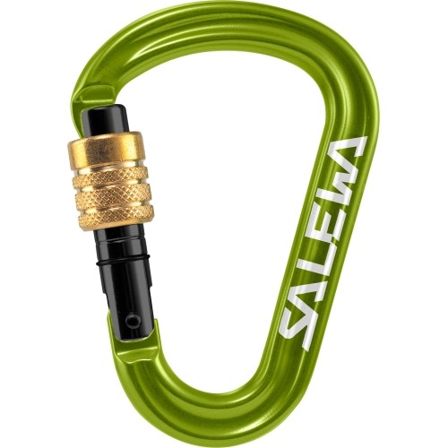 Carabiner Salewa HMS Pro, Green