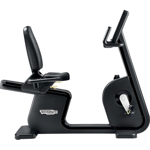 Bike Trainer TechnoGym Recline Artis DBD03QT