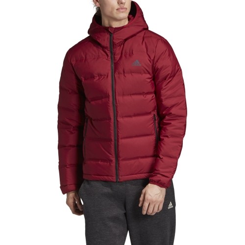 Adidas Pūkinė Striukė Helionic Ho Jkt Red