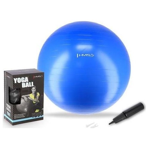 YB01 NEW 55CM BLUE GYM BALL HMS