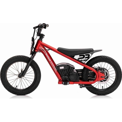 Motor BAIGOR 23 PRO Red