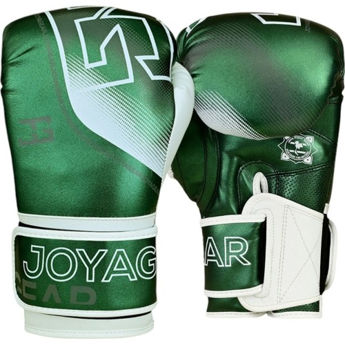 Joya Evolution Kickboxing gloves green