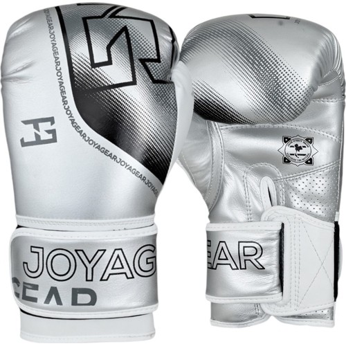 Joya Evolution Kickboxing gloves silver