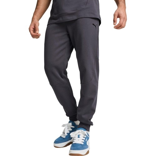 Puma Sportinės Kelnės Vyrams Rad/Cal Pants Galactic Gray 681621 69