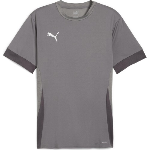 Puma Marškinėliai Vyrams TeamGoal Matchday Jersey Grey 705747 13