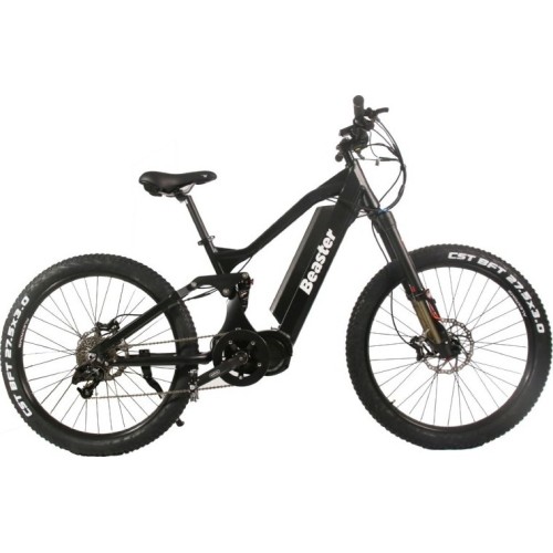 Electric bike Beaster BS1000, 160 Nm, 48 V, 21 Ah, black