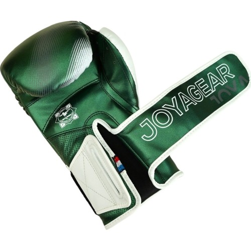 Joya Evolution Kickboxing gloves green