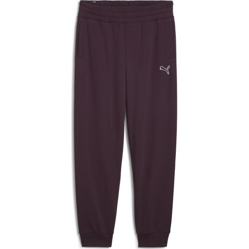 Puma Sportinės Kelnės Moterims Ess Elevated Sweatpants Fl 676805 44