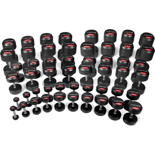 Hastings 2.5-60 kg Professional Dumbbells
