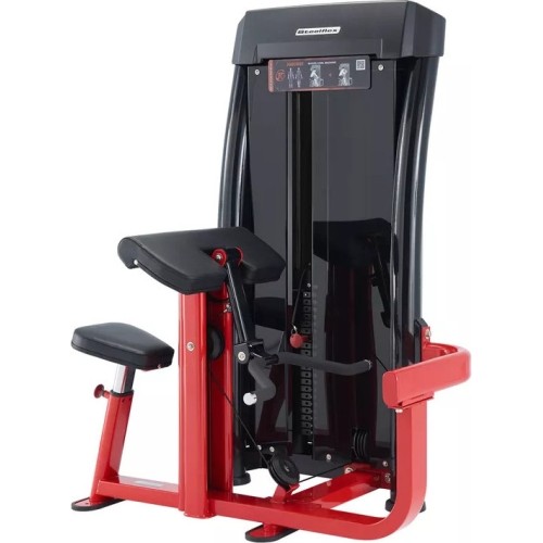 Bicep Curl Machine Steelflex Jungle Gym JGBC600