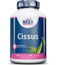 Haya Labs Cissus (Sparnuotasis lamstas) 100 kaps.