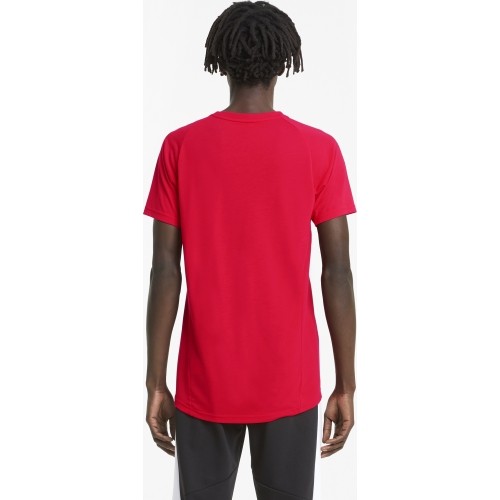 Puma Marškinėliai Vyrams Evostripe Tee Hig Red