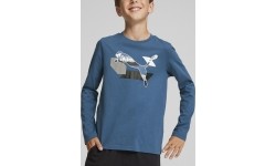 Puma koszulka młodzieżowa Alpha Longsleeve Tee niebieska 670103 17