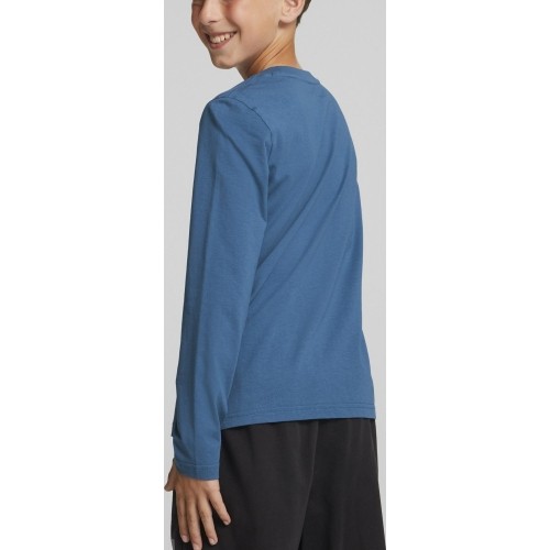 Puma koszulka młodzieżowa Alpha Longsleeve Tee niebieska 670103 17