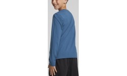 Puma koszulka młodzieżowa Alpha Longsleeve Tee niebieska 670103 17