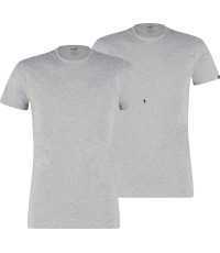 Koszulki męskie Puma Basic 2P szare