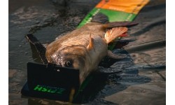 Miernik wędkarski ZFISH Challenger