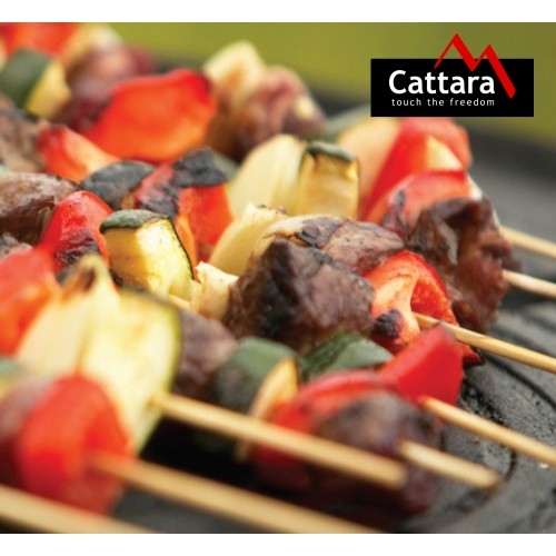 Ruszt grillowy do kuchenki przenośnej TRAVELER