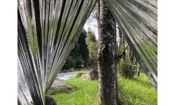 Namiot survivalowy Origin Outdoors