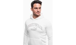 Bluza męska Puma Ess+ Logo Lab Hoodie FL, biała 681775 02