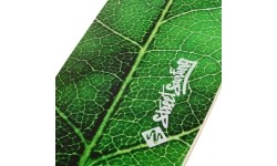 Longboard Street Surfing Fishtail – The Leaf 42”