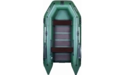 Ponton Ladya LT-310 ME